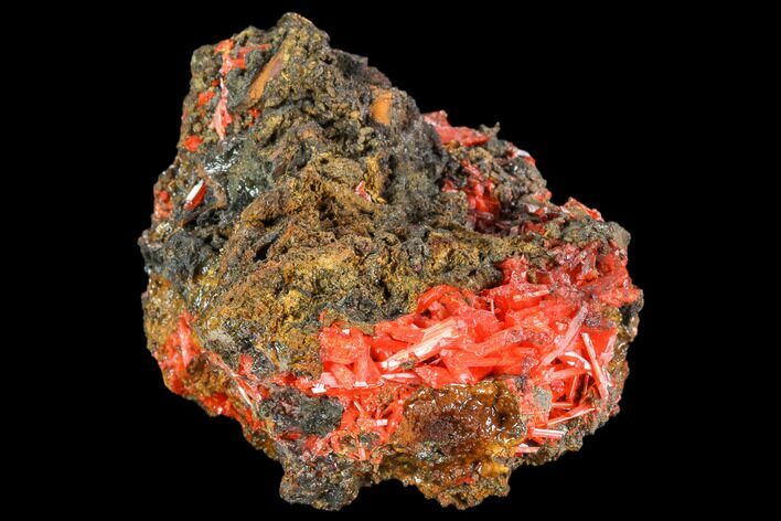 Bright Orange Crocoite Crystal Cluster - Tasmania #106797